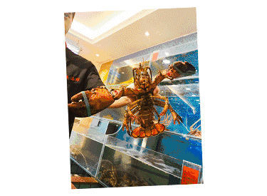 【時(shí)代儒商】膠東碼頭海鮮城淮揚(yáng)菜、魯菜、海鮮超多美味！滿(mǎn)足您的味蕾~~