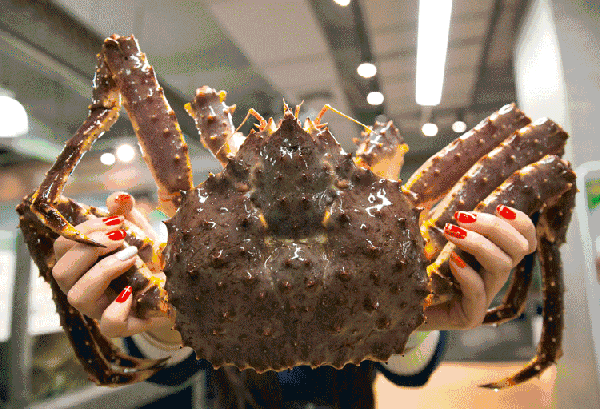 【時(shí)代儒商】膠東碼頭海鮮城淮揚(yáng)菜、魯菜、海鮮超多美味！滿(mǎn)足您的味蕾~~