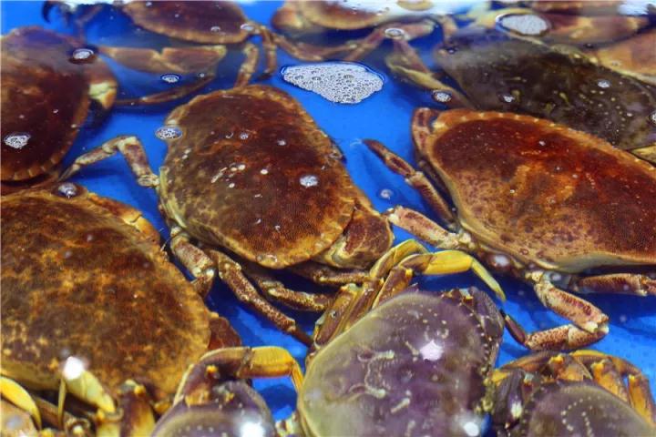 【時(shí)代儒商】膠東碼頭海鮮城淮揚(yáng)菜、魯菜、海鮮超多美味！滿(mǎn)足您的味蕾~~