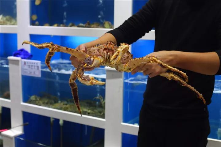 【時(shí)代儒商】膠東碼頭海鮮城淮揚(yáng)菜、魯菜、海鮮超多美味！滿(mǎn)足您的味蕾~~