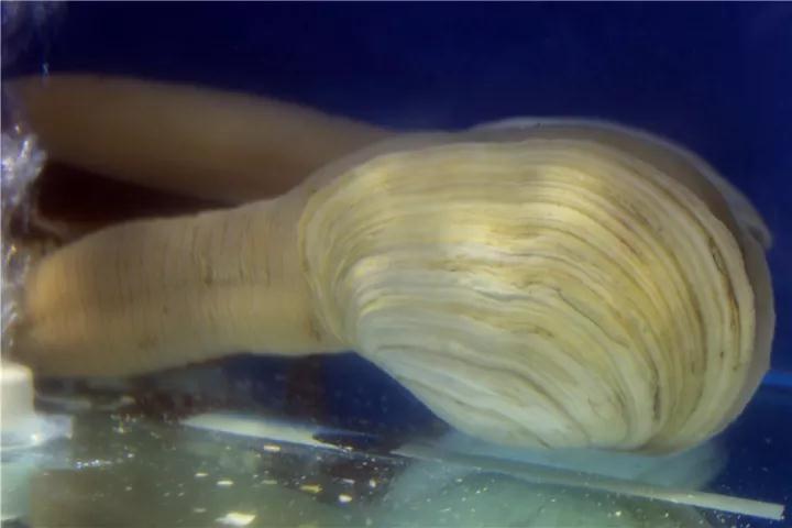 【時(shí)代儒商】膠東碼頭海鮮城淮揚(yáng)菜、魯菜、海鮮超多美味！滿(mǎn)足您的味蕾~~